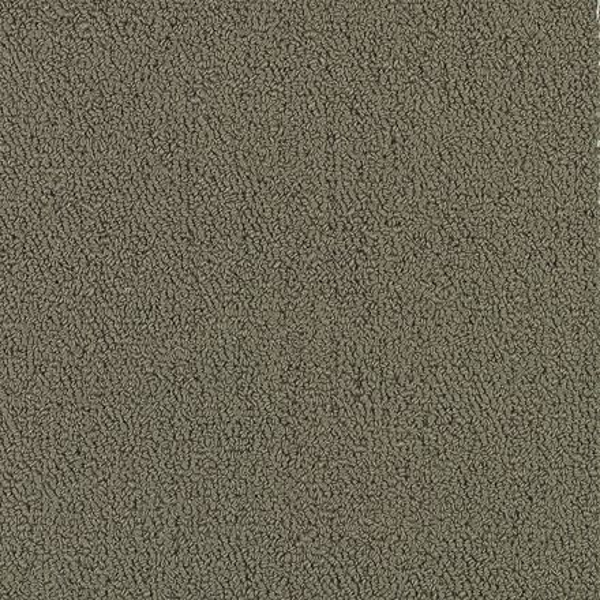 Philadelphia Commercial Color Accents BL Taupe Shaw