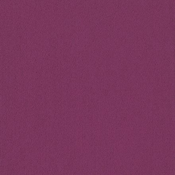 Philadelphia Commercial Color Accents BL Calypso Shaw