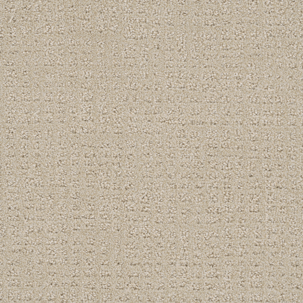Dreamweaver Carpet Common Ground Champagne DREAMWEAVER