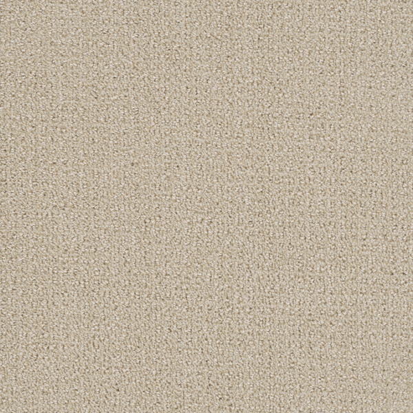 Dreamweaver Carpet Pinpoint Champagne DREAMWEAVER
