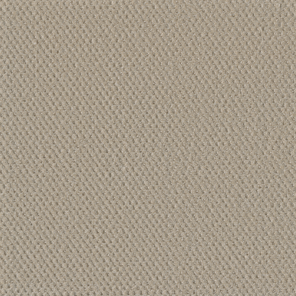 Dreamweaver Carpet Prime Champagne Fizz DREAMWEAVER