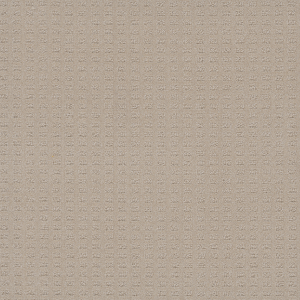 Dreamweaver Carpet Superb Champagne Fizz DREAMWEAVER