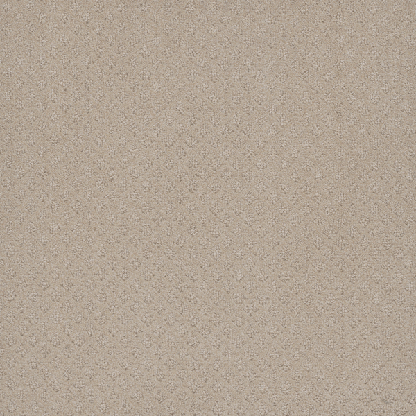Dreamweaver Carpet Stellar Champagne Fizz DREAMWEAVER