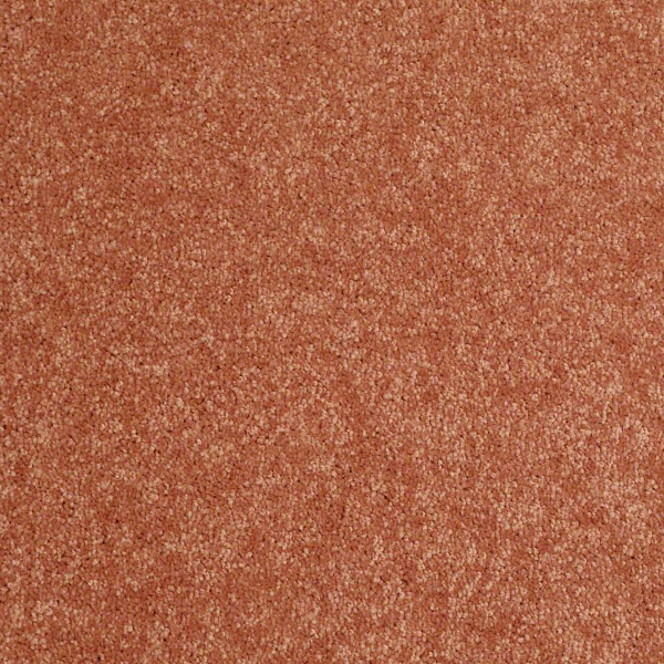 Shaw Floors Newbern Classic 12 Sunburst SHAW