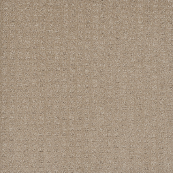 Dreamweaver Carpet Caspian Soft Pine DREAMWEAVER