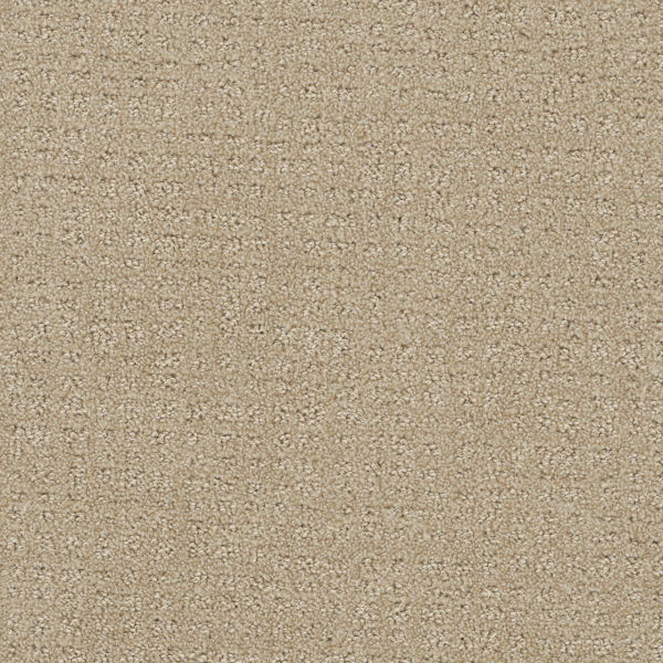 Dreamweaver Carpet Common Ground Soft Pine DREAMWEAVER