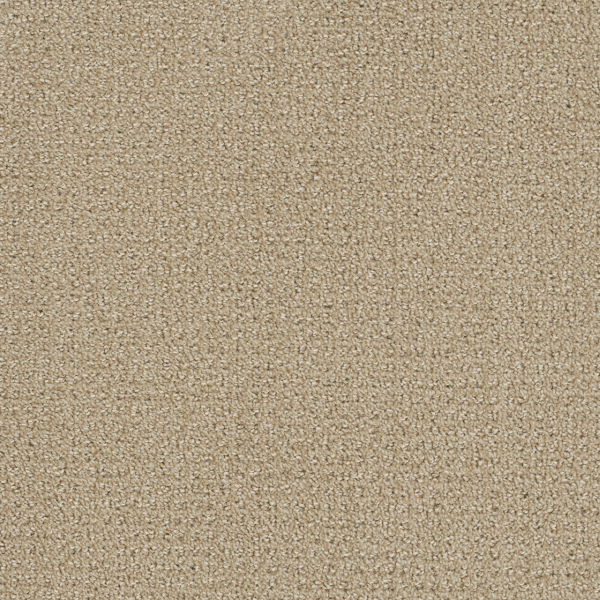 Dreamweaver Carpet Pinpoint Soft Pine DREAMWEAVER