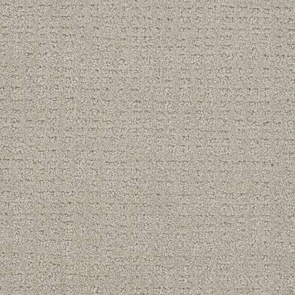 Dreamweaver Carpet Common Ground Snow Cap DREAMWEAVER