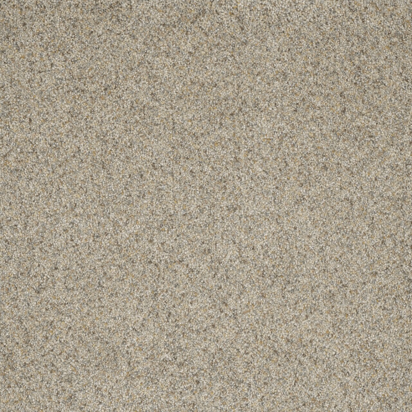 Dreamweaver Carpet Astounding II Pearl Stone DREAMWEAVER