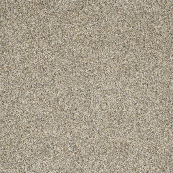 Dreamweaver Carpet Astounding III Pearl Stone DREAMWEAVER