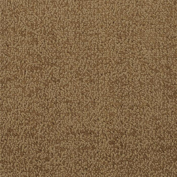 Masland Carpets Novellino Tawny Masland