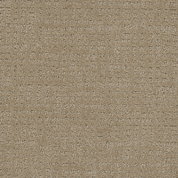 Dreamweaver Carpet Common Ground Warm Sand DREAMWEAVER