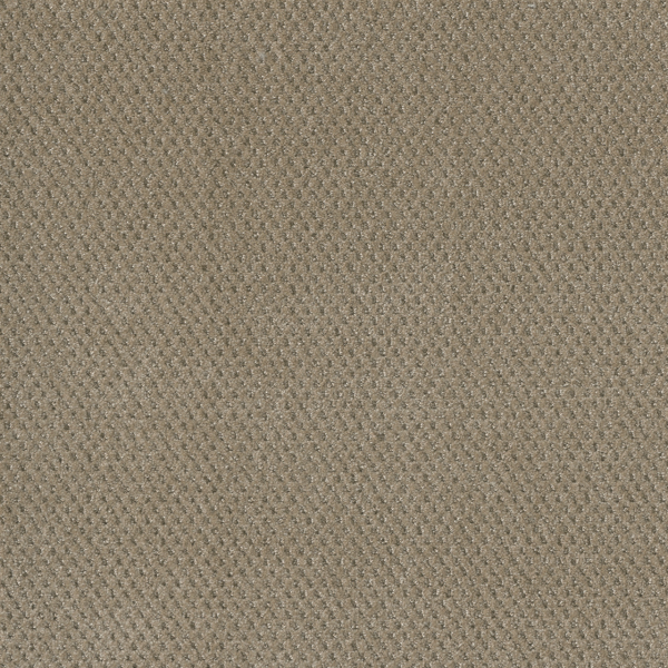 Dreamweaver Carpet Prime Warm Sand DREAMWEAVER