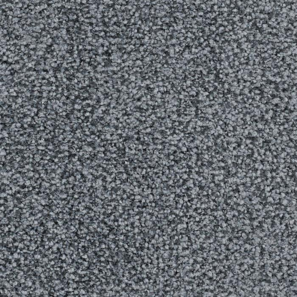 Masland Carpets St Augustine Constant Navy Masland