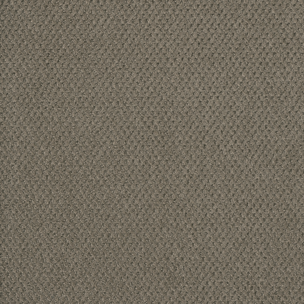 Dreamweaver Carpet Moon Bay Topaz DREAMWEAVER