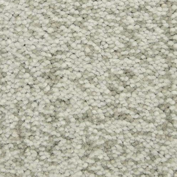 Dixie Home Mystique Rain Master