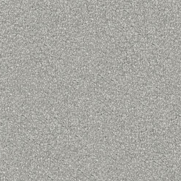 Masland Carpets Tracker Max Masland