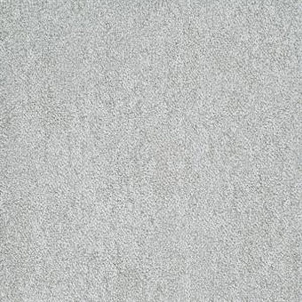 Masland Carpets Buena Vida Cacti Masland