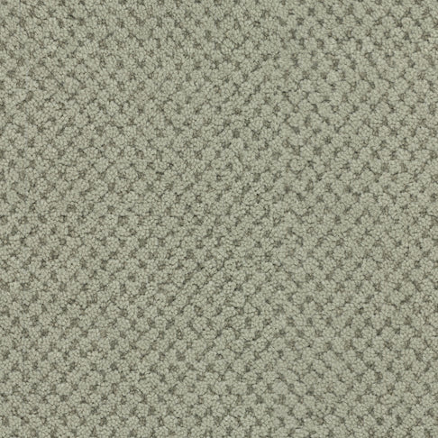 Masland Carpets La Parade Verte Masland