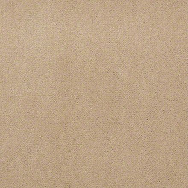 Philadelphia Commercial Baytowne III 30 Biscotti Shaw