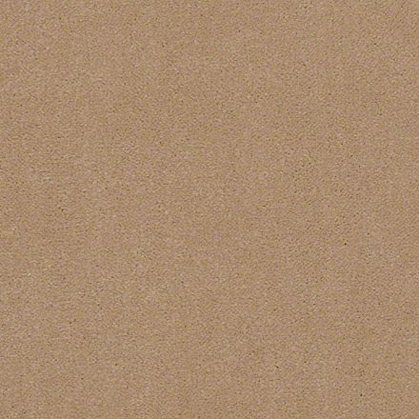 Philadelphia Commercial Baytowne III 36 Nacho Shaw