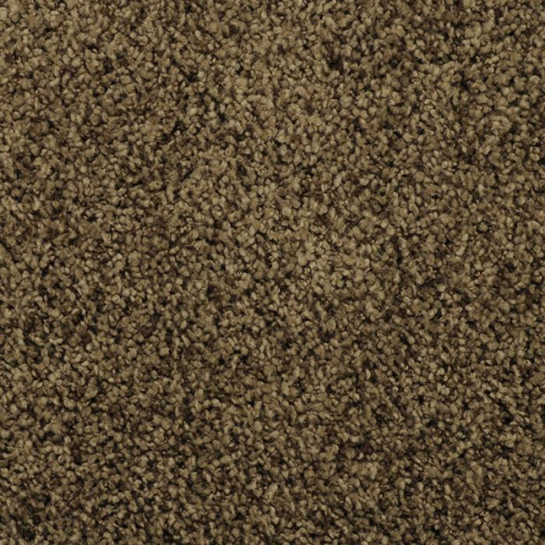 Masland Carpets Shangri-La Lama Masland