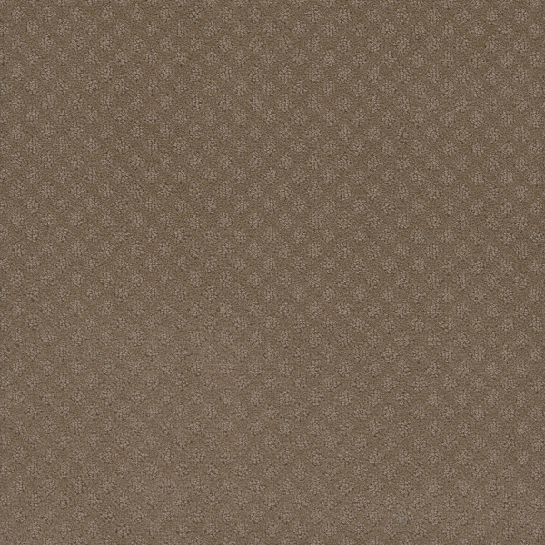 Dreamweaver Carpet Capri Deer Path DREAMWEAVER