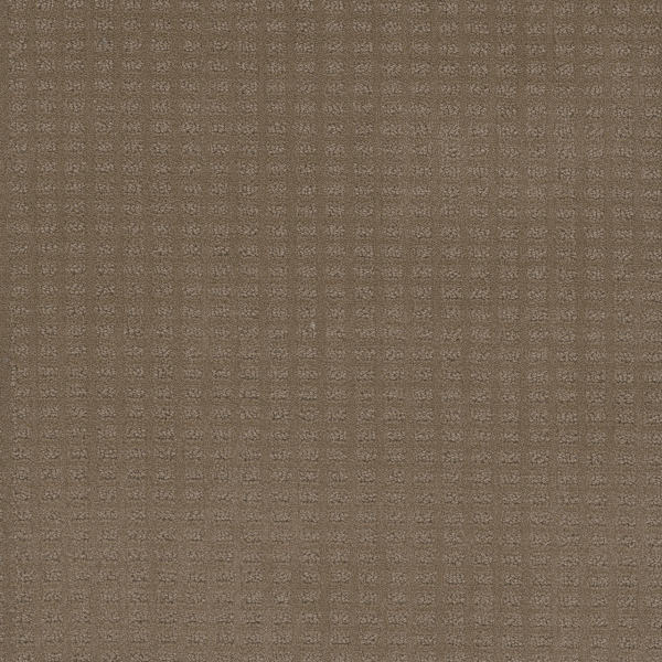 Dreamweaver Carpet Superb Deer Path DREAMWEAVER