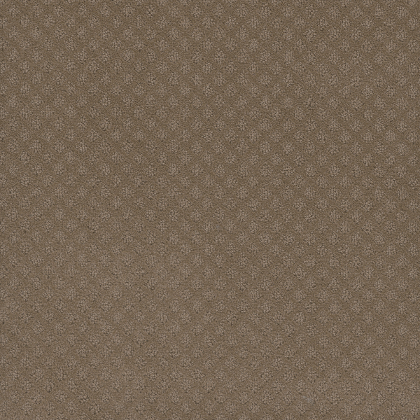 Dreamweaver Carpet Stellar Deer Path DREAMWEAVER