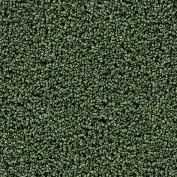 Mohawk Carpet Gentle Path Lucky Clover Mohawk