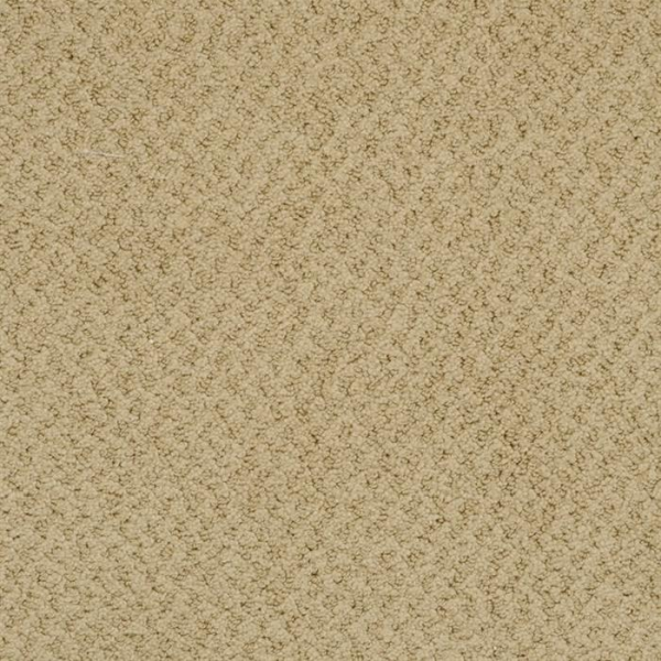 Masland Carpets New Hope Antique Bronze Masland