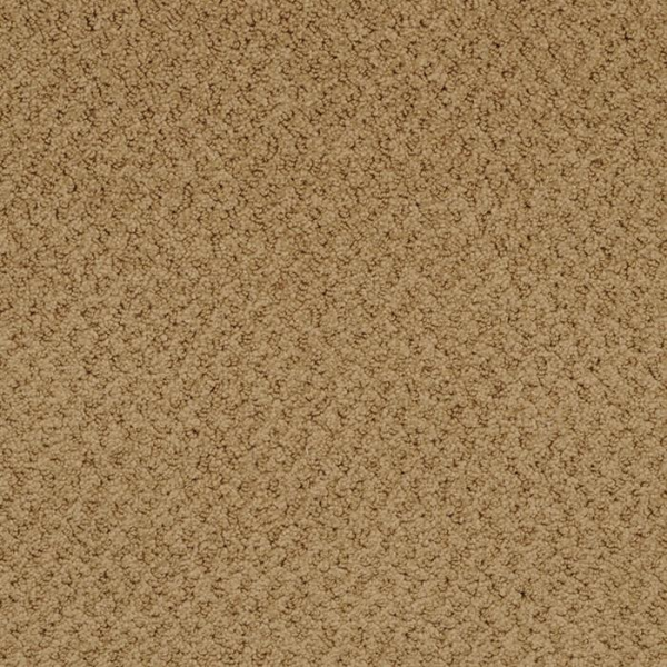 Masland Carpets New Hope Butter Rum Masland