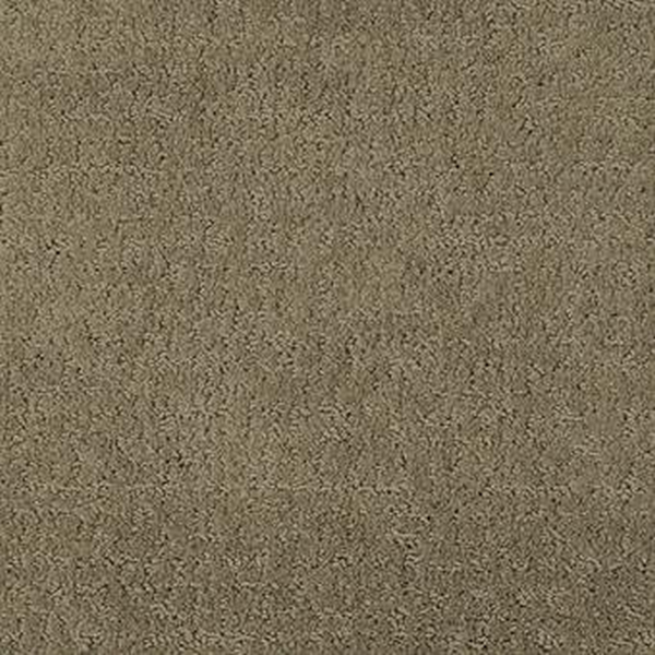 Masland Carpets Matisse Coffee Bean Masland
