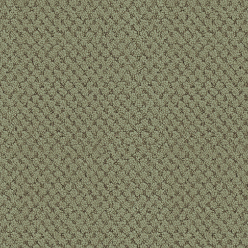 Masland Carpets La Parade Meadow Masland