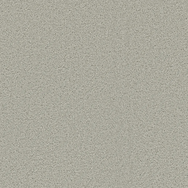 Dreamweaver Carpet Beach Club III Cloud Nine DREAMWEAVER