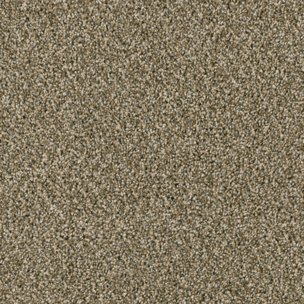 Dreamweaver Carpet Acclaim Sienna Sand DREAMWEAVER
