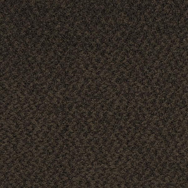 Masland Carpets New Hope Mink Brown Masland
