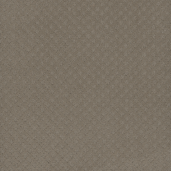 Dreamweaver Carpet Capri Timber Ridge DREAMWEAVER