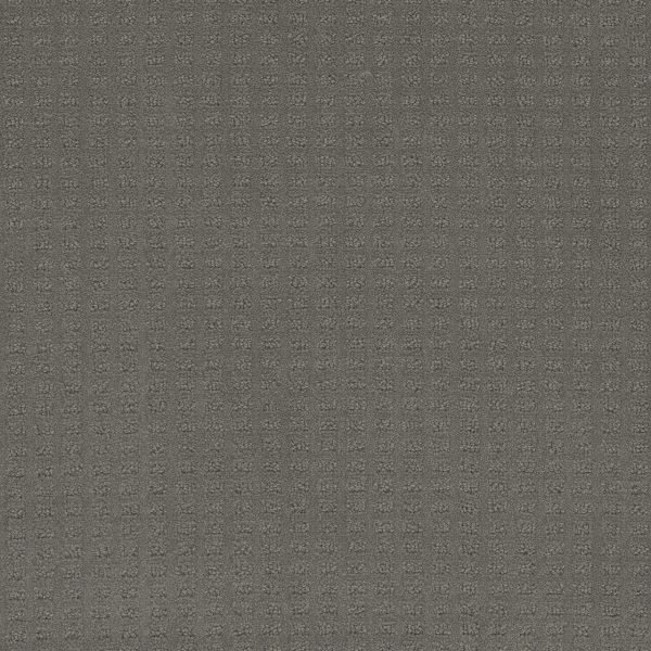 Dreamweaver Carpet Caspian Timber Ridge DREAMWEAVER