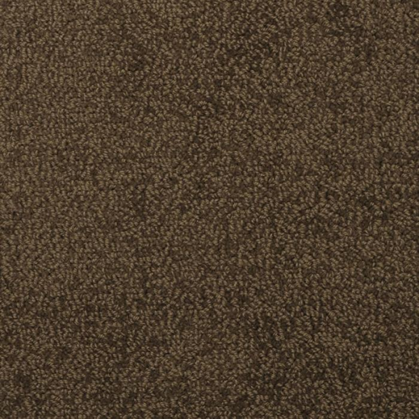 Masland Carpets Novellino Cocoa Masland