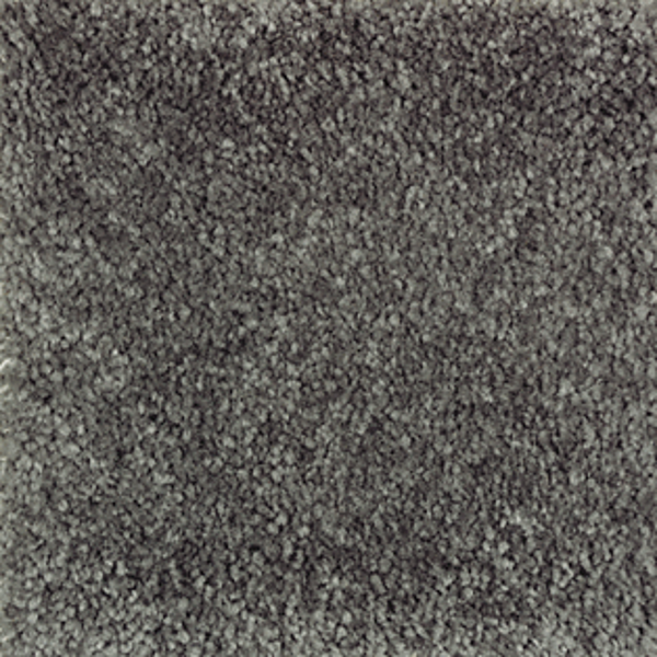 Mohawk Carpet Homefront II Elvin Forest Mohawk