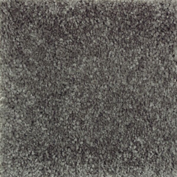 Mohawk Carpet Homefront III Elvin Forest Mohawk