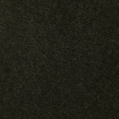 Aladdin Carpet Accelerator Plus British Green MISSING