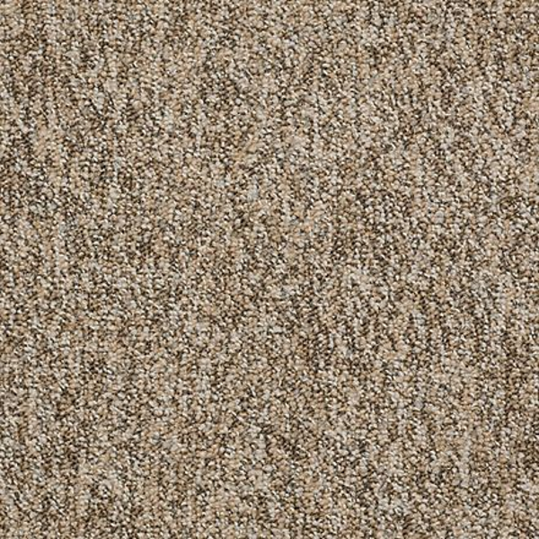 Shaw Floors All The Rage 26 Boundaries SHAW