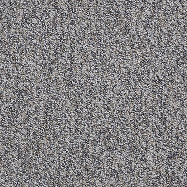 Shaw Floors All The Rage 26 Freedom SHAW