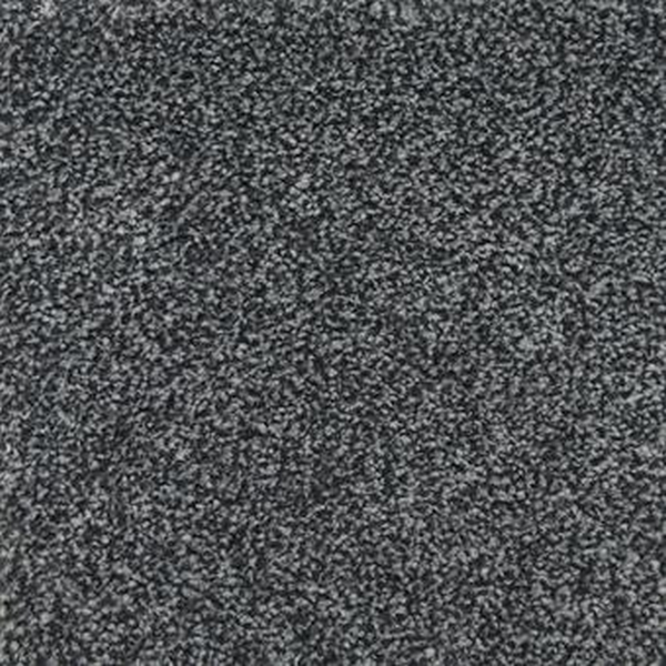 Masland Carpets Delray Atlantic Masland