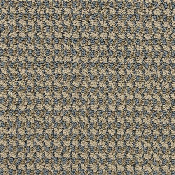 Masland Carpets Tango Piroutte Masland