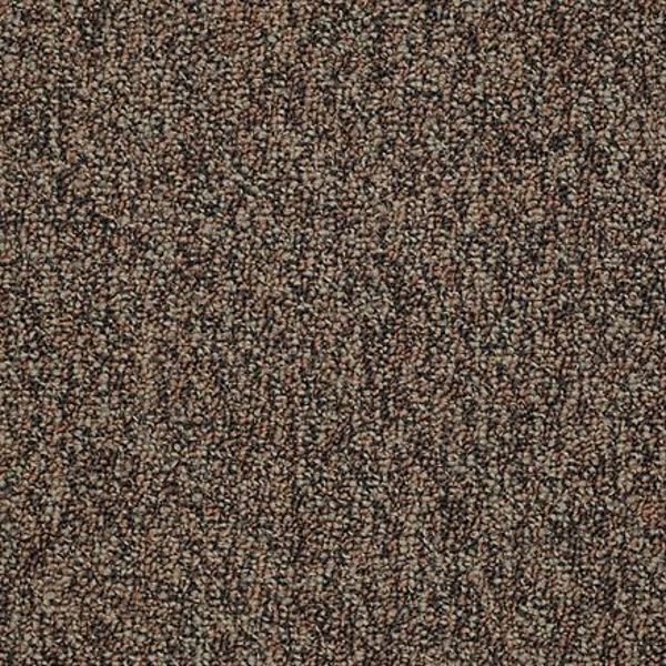 Shaw Floors All The Rage 26 Border SHAW