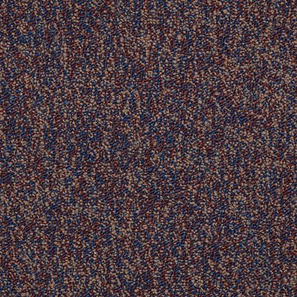 Shaw Floors All The Rage 26 Endless SHAW