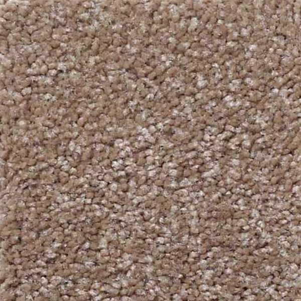 Shaw Floors That's Right Acorn SHAW